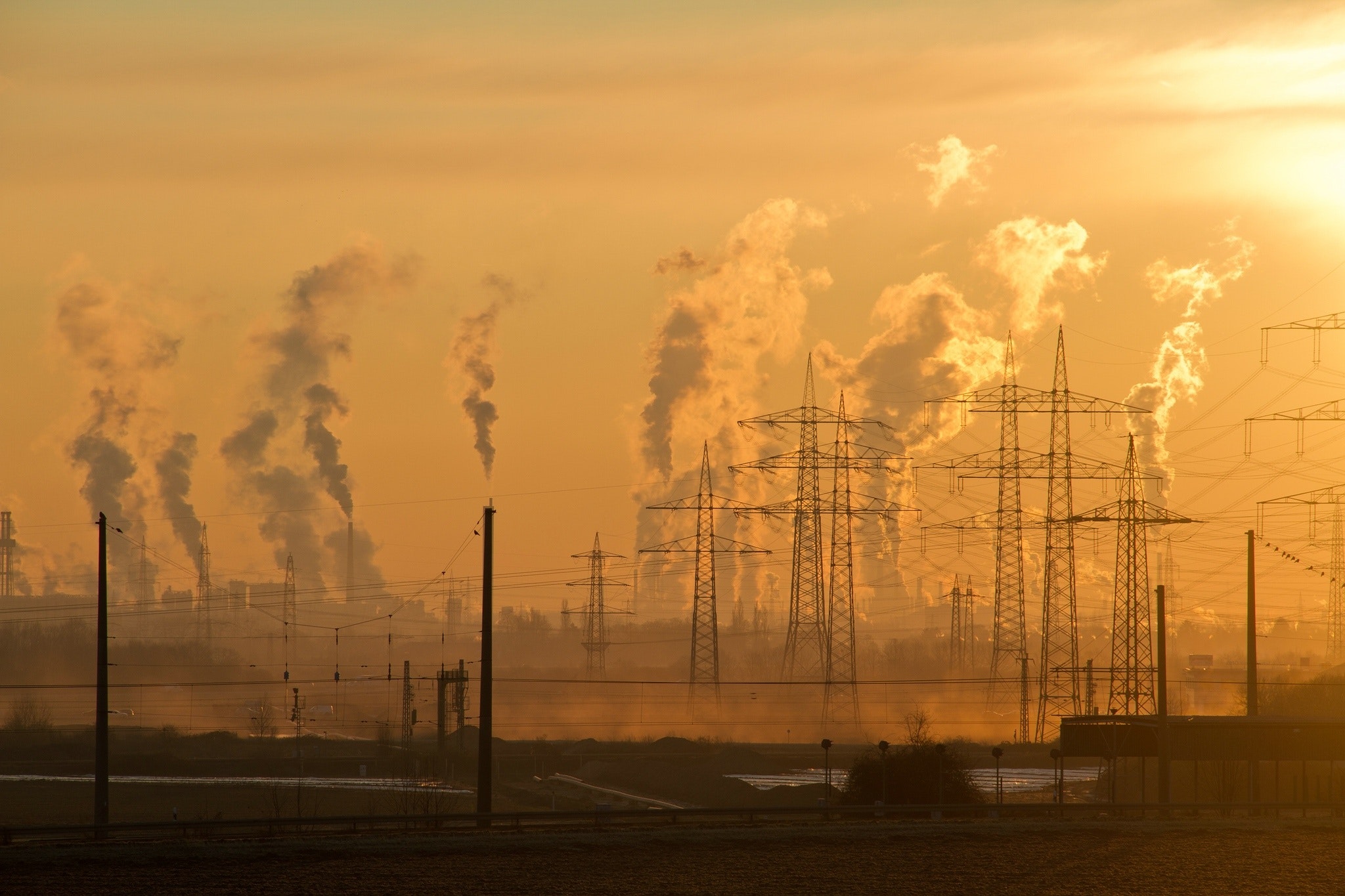 McKinsey & Company ve teknoloji devlerinden, iklim değişikliğiyle mücadeleye 925 milyon dolarlık bütçe taahhüdü!
