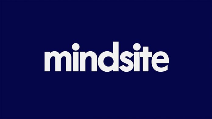mindsite startup 696x392 1 4