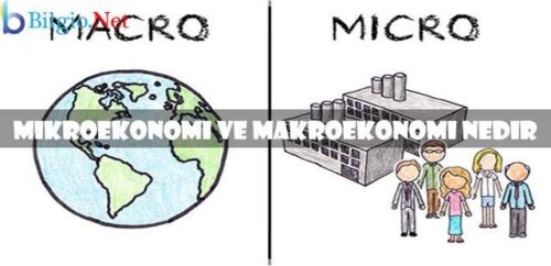 Makro ve mikro ekonomi 